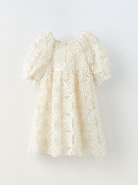 Zara 3D Floral Dress